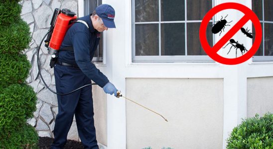 Pehlivanköy Gümüşkurt İlaçlama böcek ilaçlama ve haşere kontrolü — ilaclama-tr.com